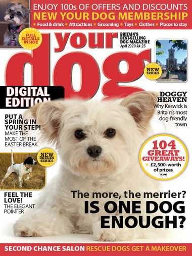 Your Dog – April 2020