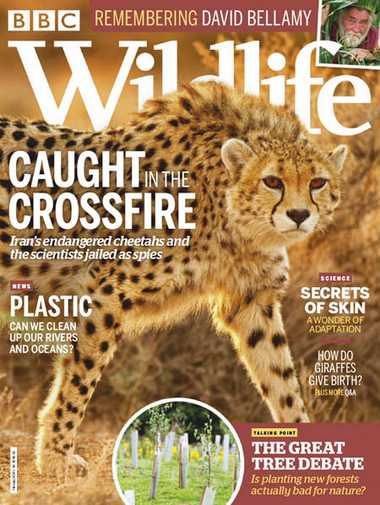 BBC Wildlife – February 2020