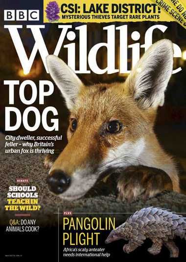 BBC Wildlife – March 2020