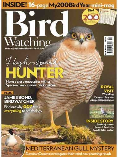 Bird Watching UK – March 2020