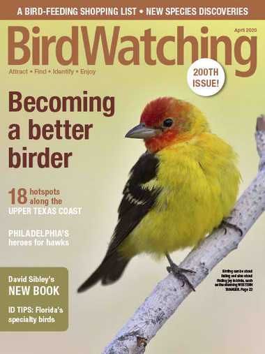 BirdWatching USA