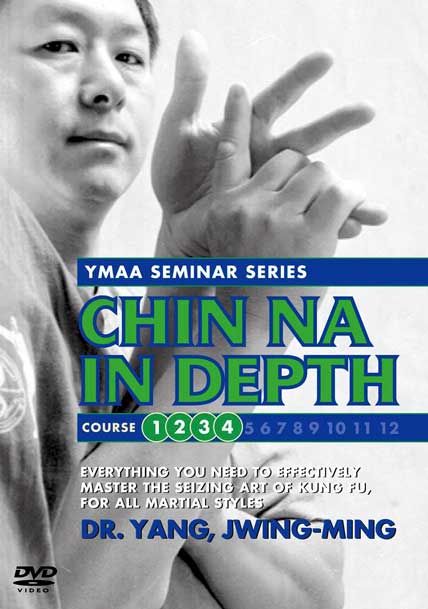 chin na in depth