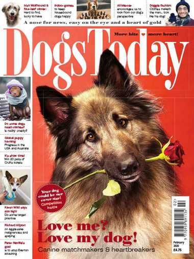 Dogs Today UK