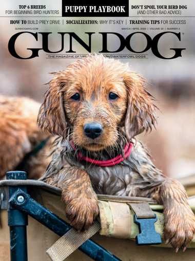 Gun Dog