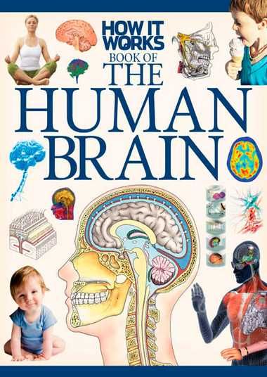 How It Works – Book of The Human Brain