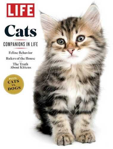 LIFE – Cats