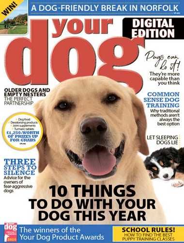 Your Dog – January 2020