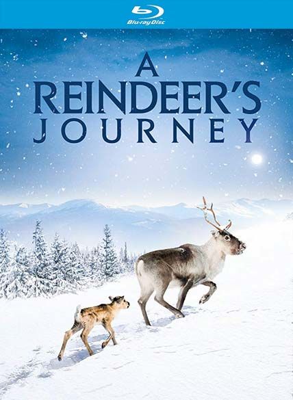 A Reindeers Journey