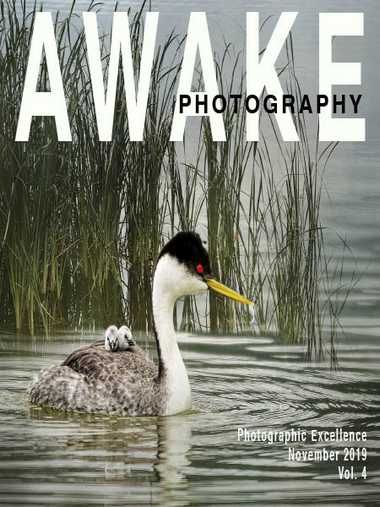 Awake Photography