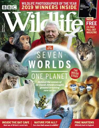 BBC Wildlife