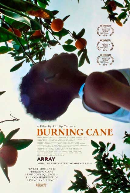 burning cane