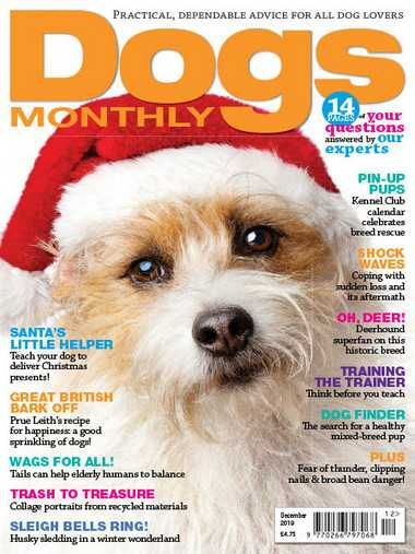 Dogs Monthly