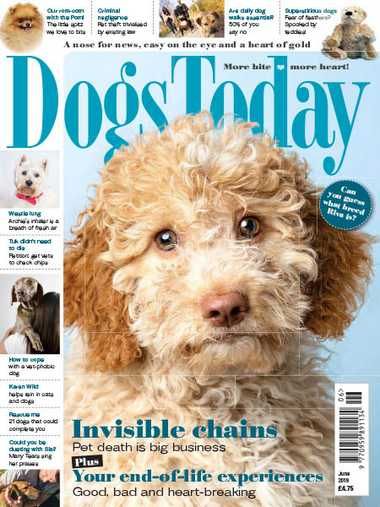 Dogs Today UK