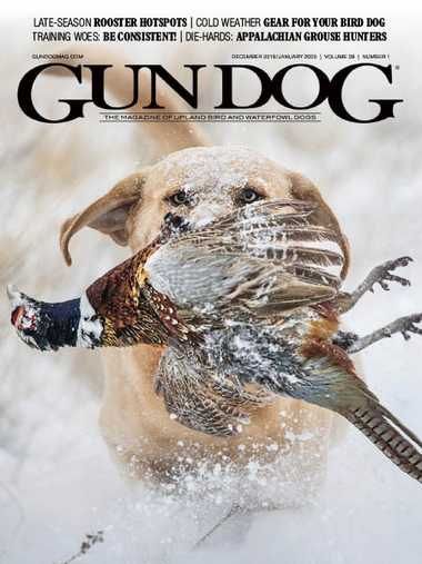 Gun Dog