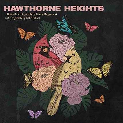 Hawthorne Heights