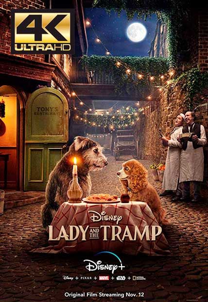 lady and the tramp 4k