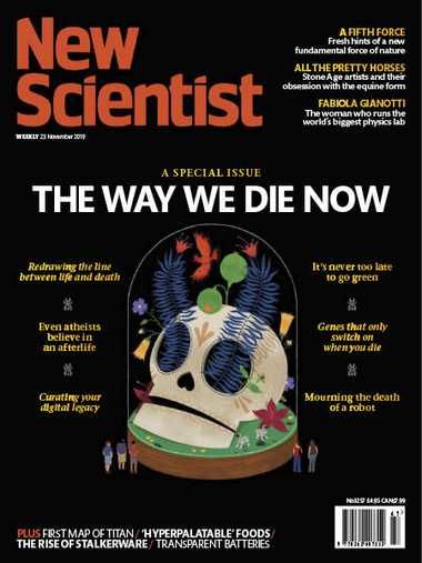 New Scientist International