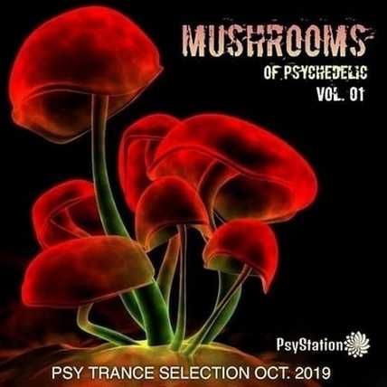 Myshrooms