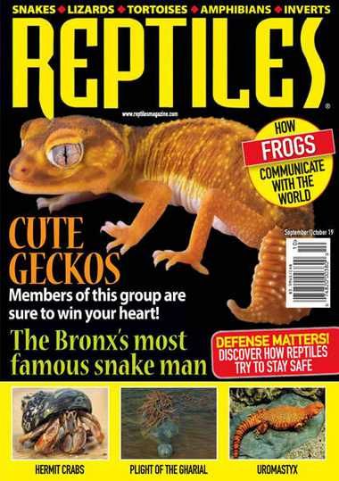 Reptiles