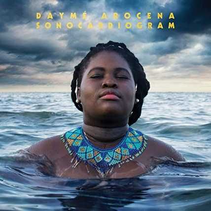 Dayme Arocena