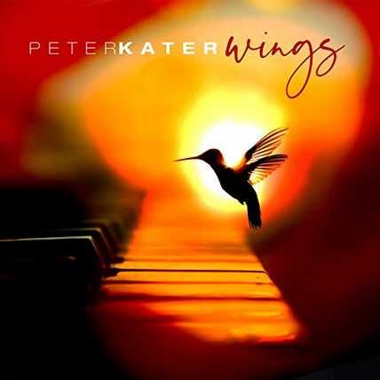 Peter Kater – Wings