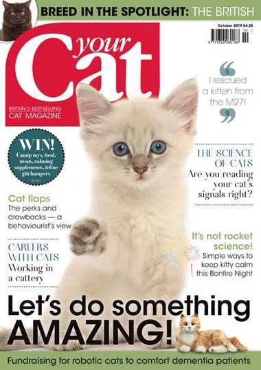 Your Cat Magazine 