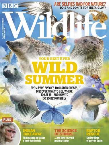 BBC Wildlife