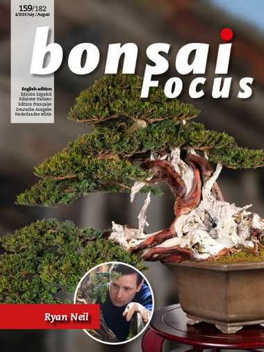 Bonsai Focus (English Edition)