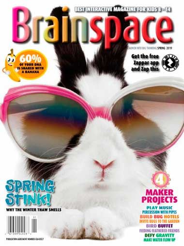 Brainspace – Spring 2019