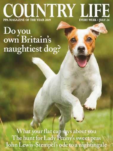 Country Life UK – July 24, 2019