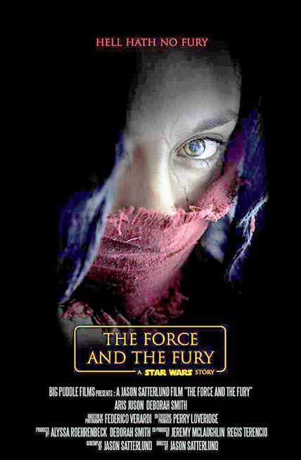 star wars the force and the fury