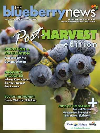 The Blueberry News – Summer 2019