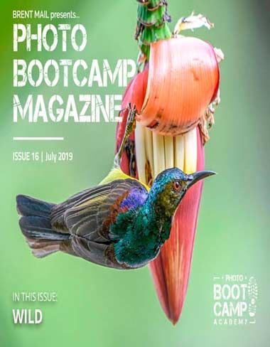 Photo BootCamp Magazine