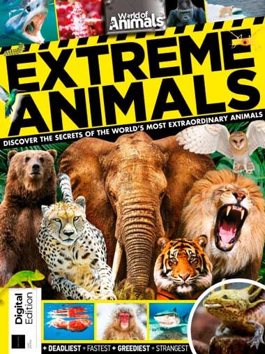 Extreme Animals First Edition