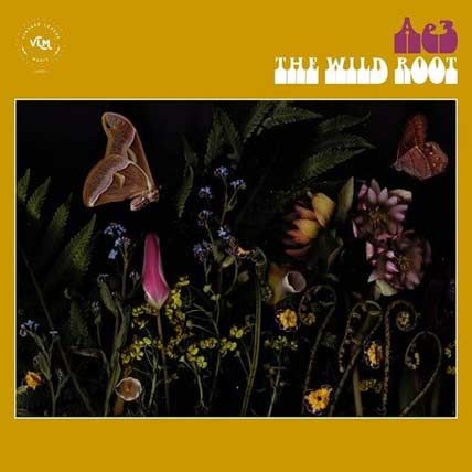 Alan Evans Trio – The Wild Root