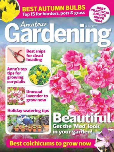 Amateur Gardening – 13 July 2019