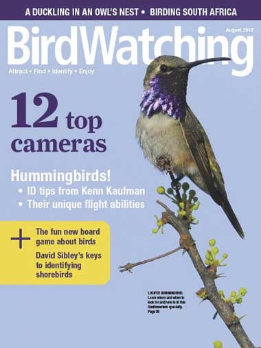 BirdWatching USA