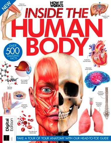 How It Works Inside the Human Body