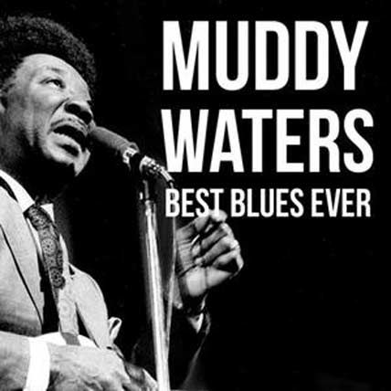 Muddy Waters