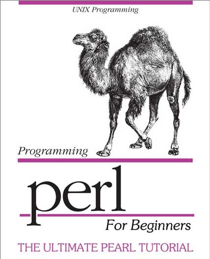 programming perl for beginners