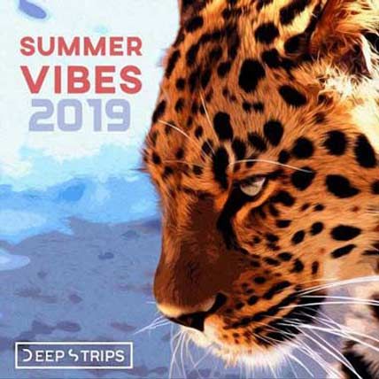 Summer Vibes 2019