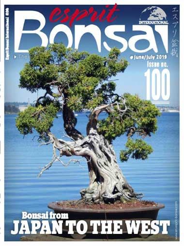 Esprit Bonsai International