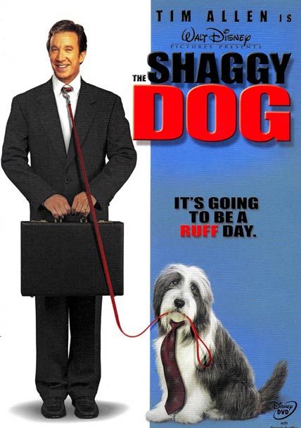 The Shaggy Dog