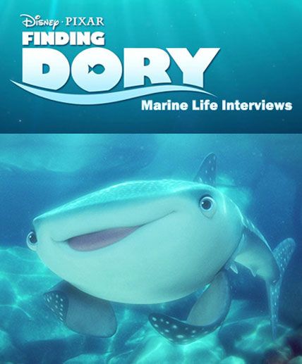 finding dory merine life interviews