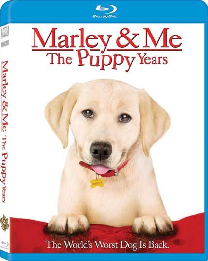 marley and me the puppy years