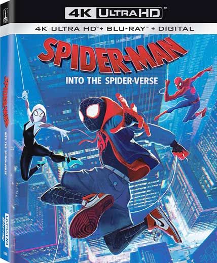 spierman into the spiderverse