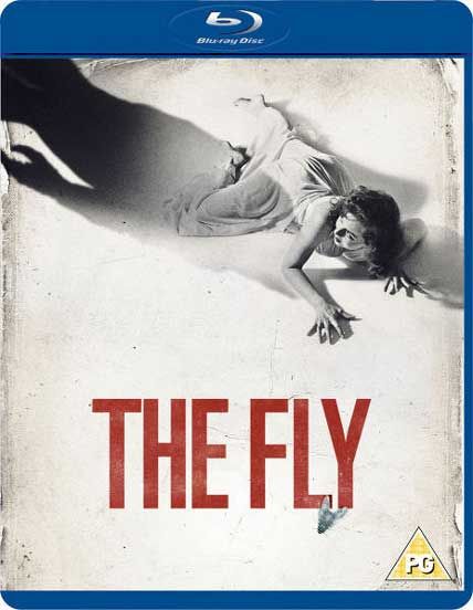 the fly