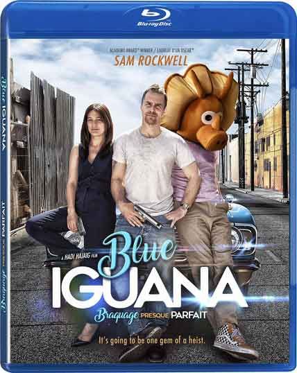 blue iguana