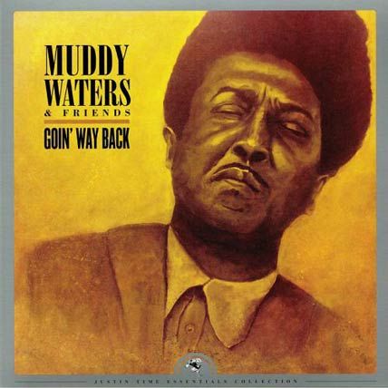 Muddy Waters & Friends