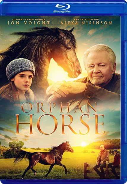 orphan horse